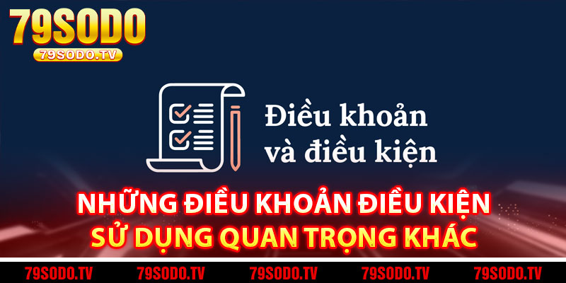 Những Điều Khoản Điều Kiện Sử Dụng Quan Trọng Khác 