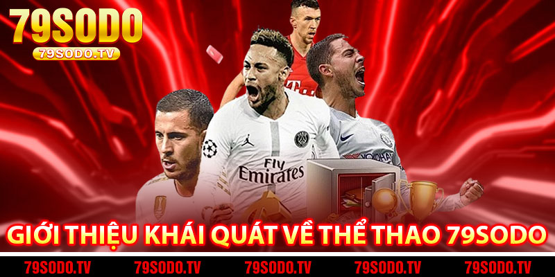 Giới thiệu khái quát về thể thao 79Sodo 