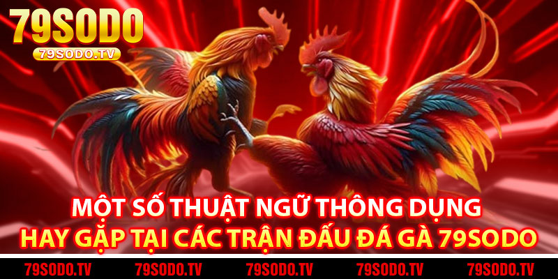 Một số thuật ngữ thông dụng hay gặp tại các trận đấu đá gà 79Sodo