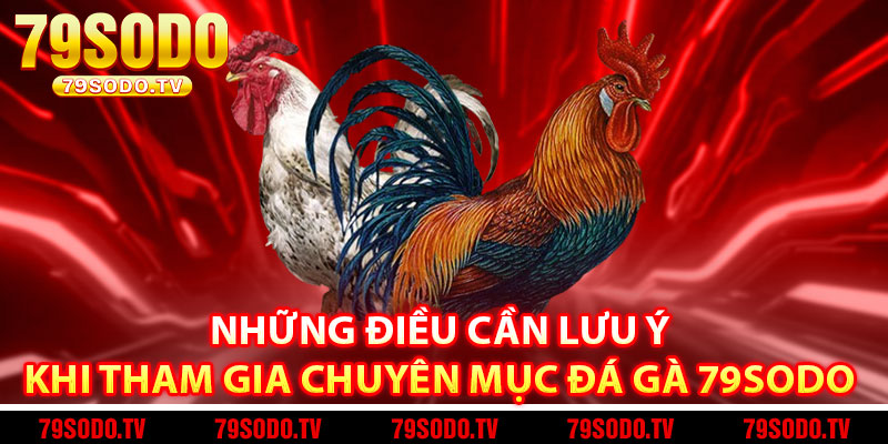 Những điều cần lưu ý khi tham gia chuyên mục đá gà 79Sodo 